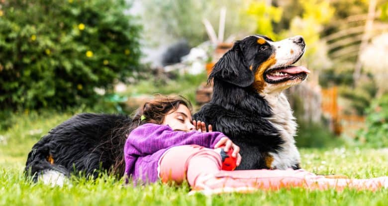 Young girl sleeping on a Bernese Mountain dog