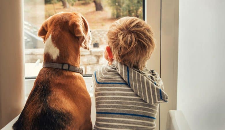Little boy with his dog looking through the window
