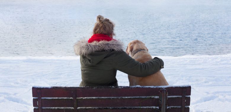 A woman with a dog on a bench looking at the beach
