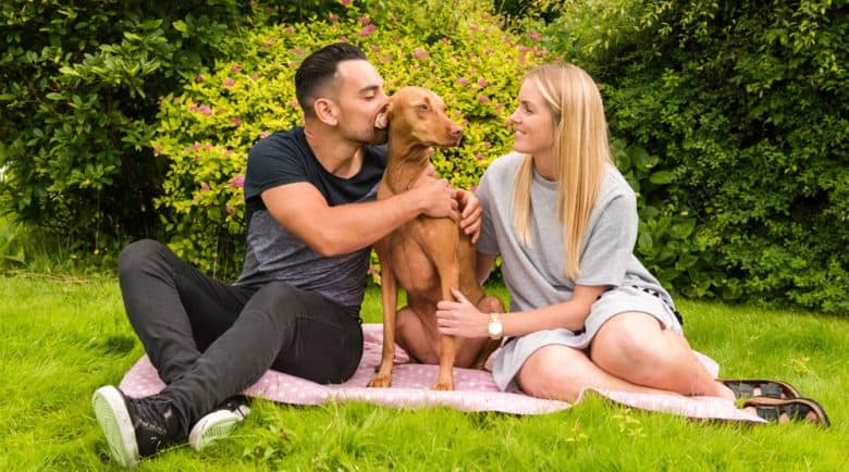 Couple in picnic with their Vizsla dog