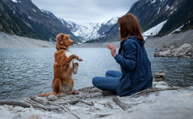 Owner trains her Nova Scotia Duck Tolling Retriever near a mountain lake