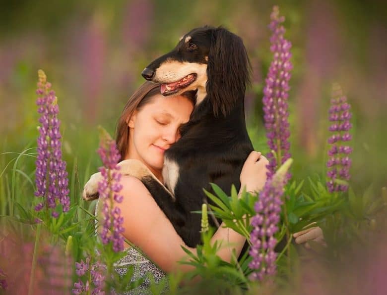 Portrait of a Saluki dog hugging her pet owner