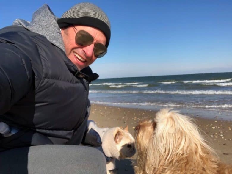 allegra the cavapoo with dali the french bulldog and hugh jackman