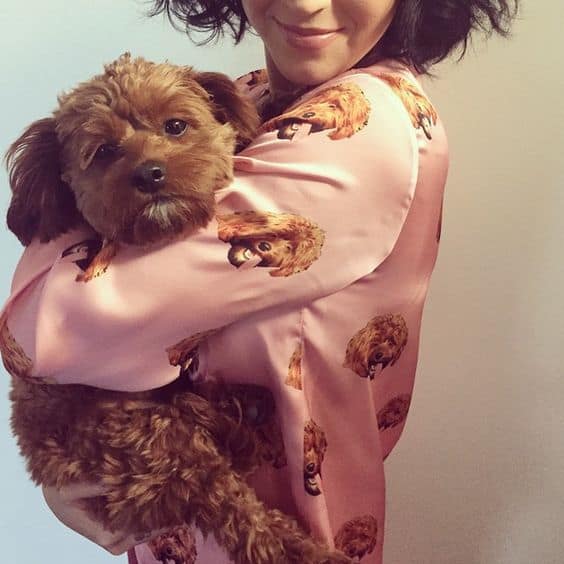 katy perry wearing a pajama with a print of her cavapoo, butters, face