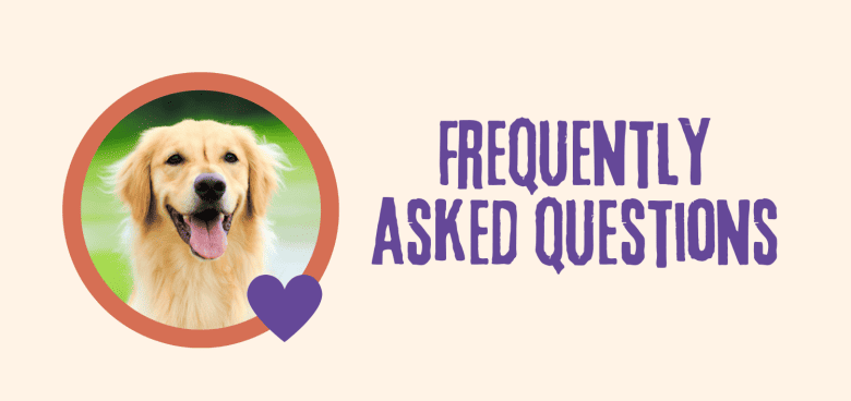 FAQs about Types of Golden Retrievers