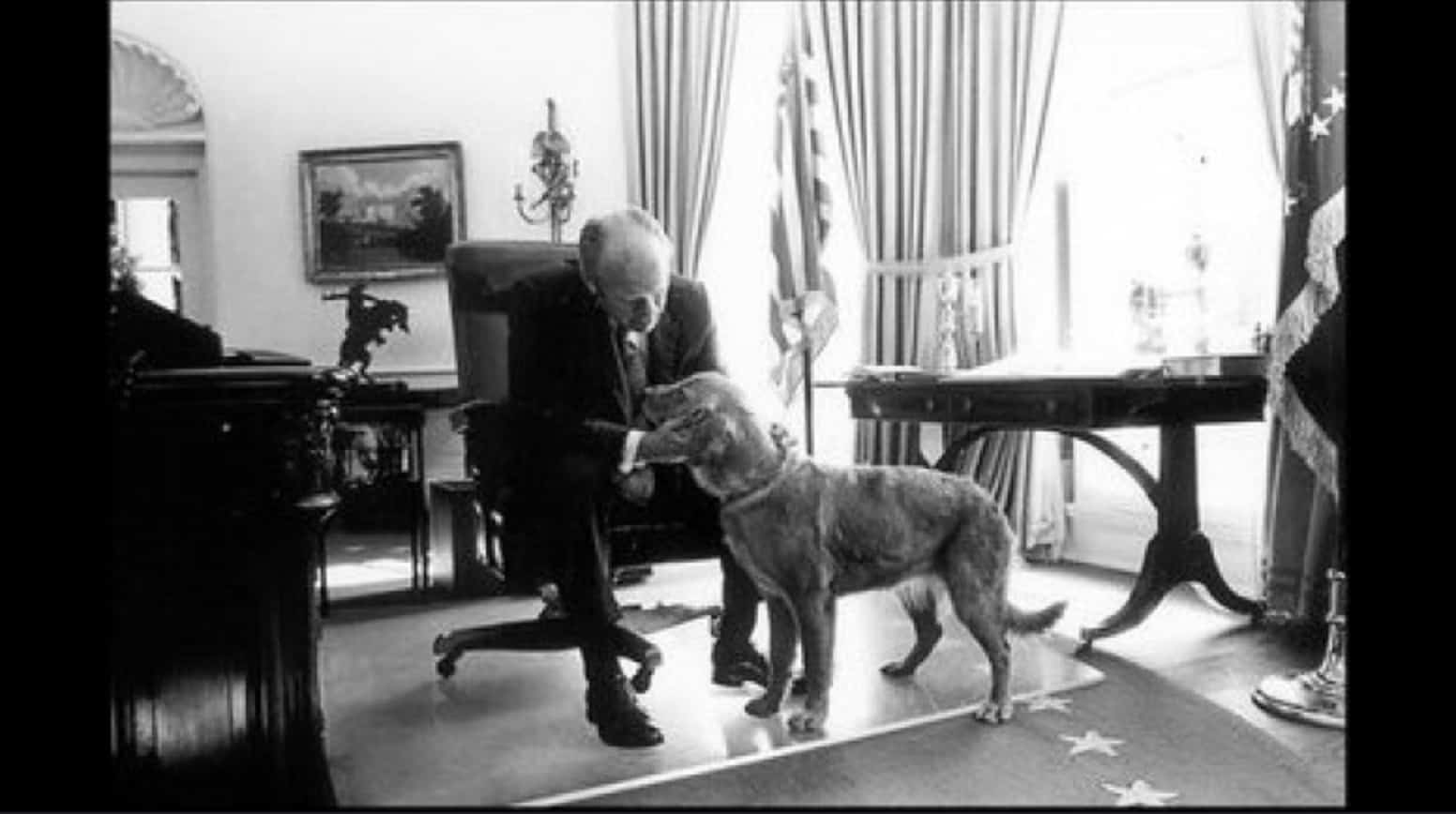 Руководство по воспитанию королевской собаки. Джеральд Форд ретривер. Царская собака. Джеральд Форд с собакой. Либерти собака.