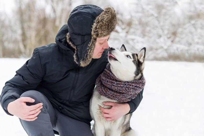 Owner kisses Siberian Husky