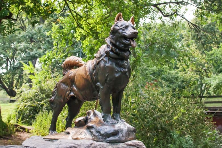 Siberian Husky Statue