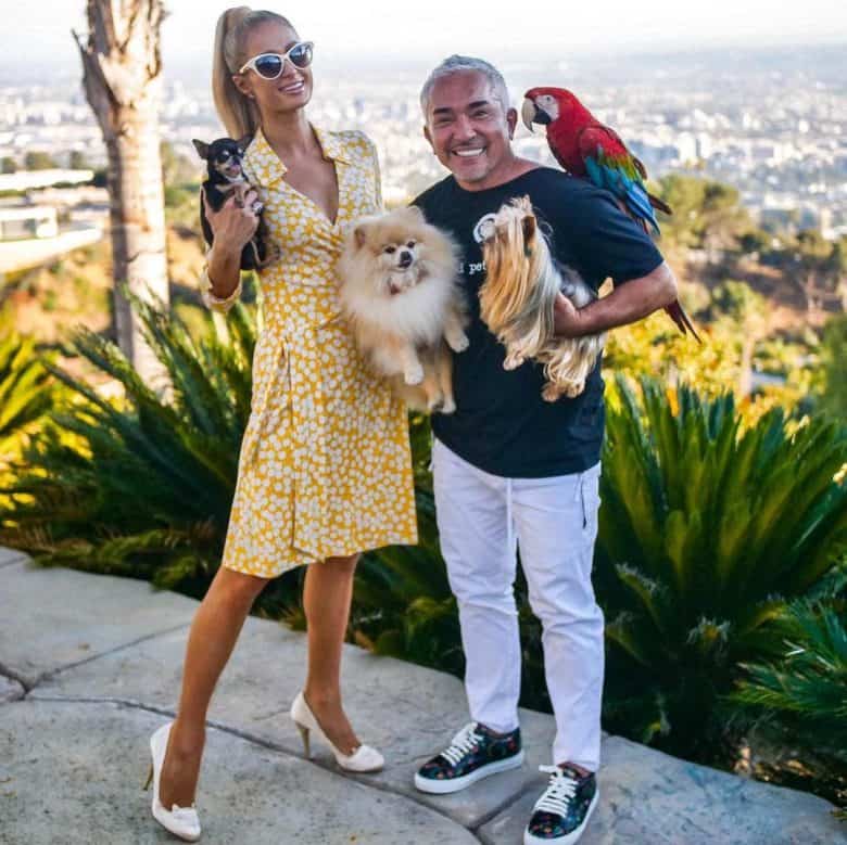 Chihuahua with Cesar Millan and Paris Hilton
