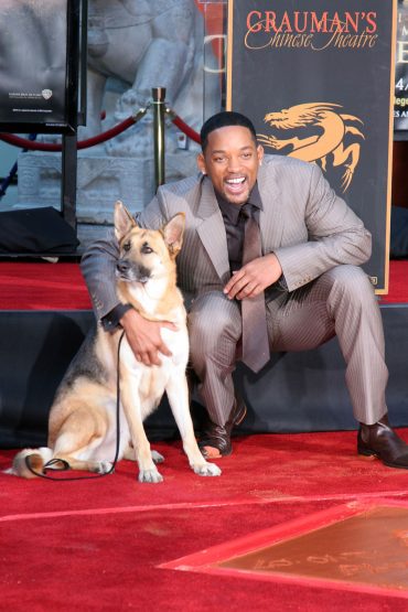 German Shepherd with Will Smith
