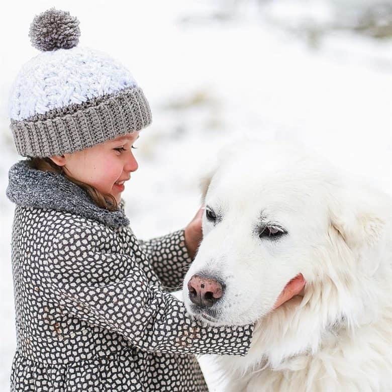 Great Pyrenees Lab mix with the little girl