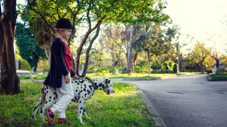 Young girl with her Dalmatian dog