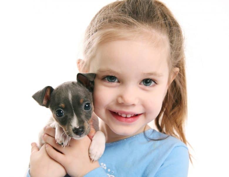 Cute little girl holding a puppy