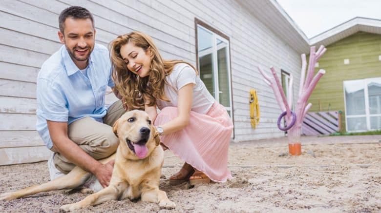 Happy couple palming their Labrador dog