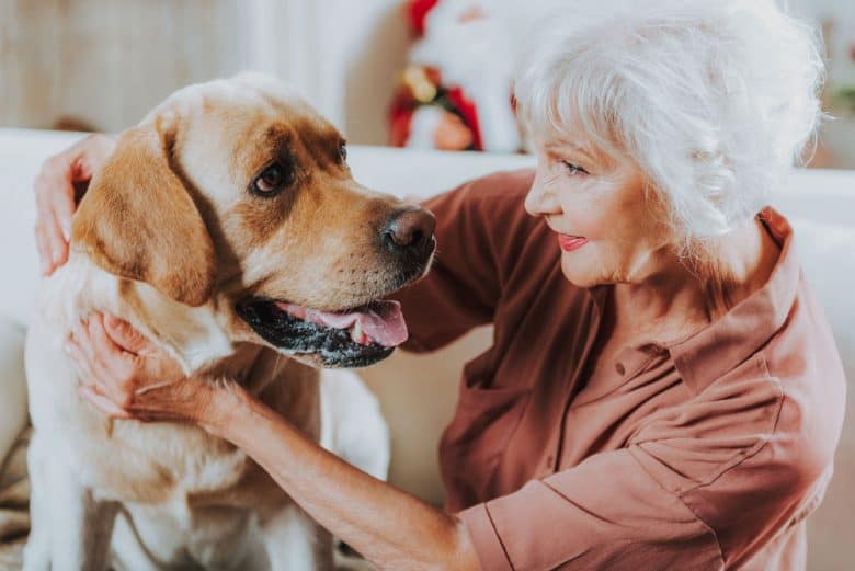 Happy old woman looking her dog