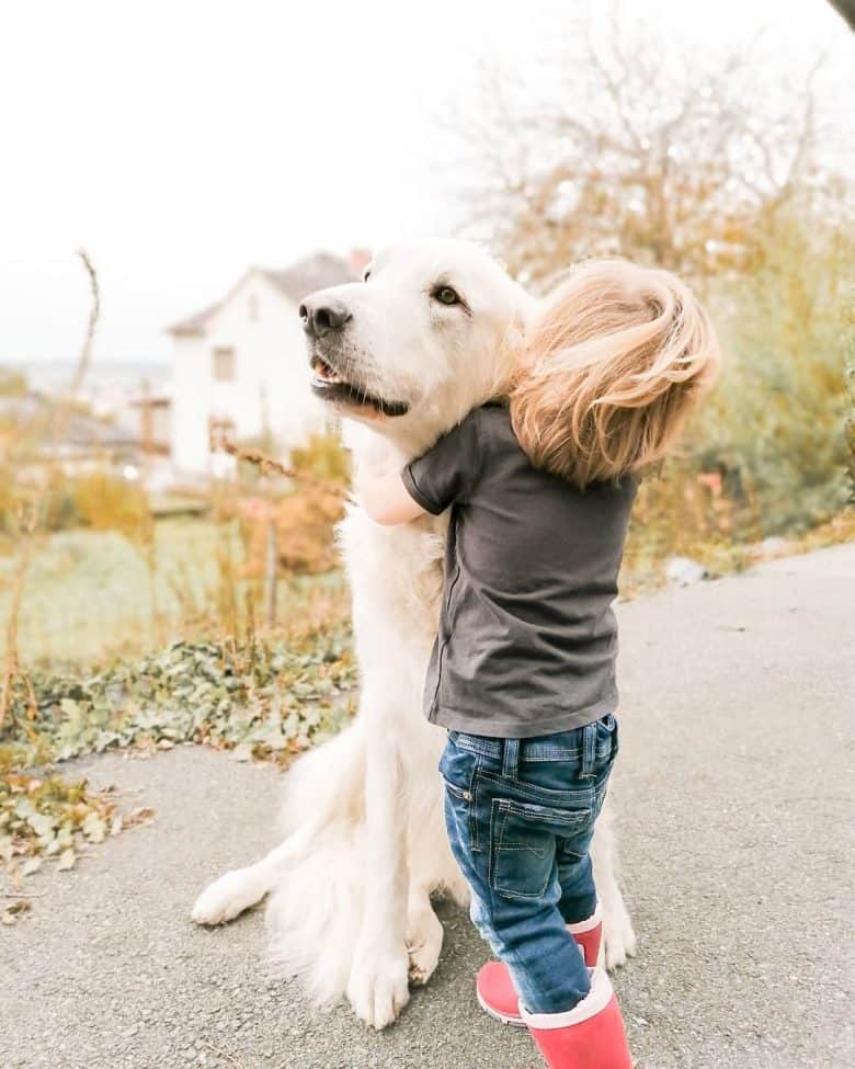 A kid hugging Hungarian Kuvasz