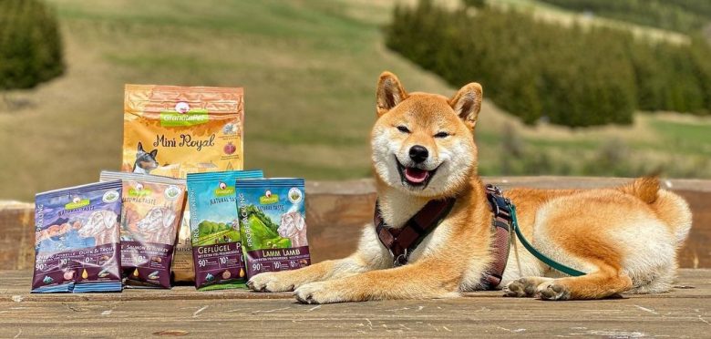 A Shiba Inu posing with dog foods and smiling