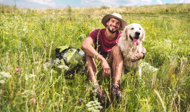 Traveler sitting with dog on green summer meadow