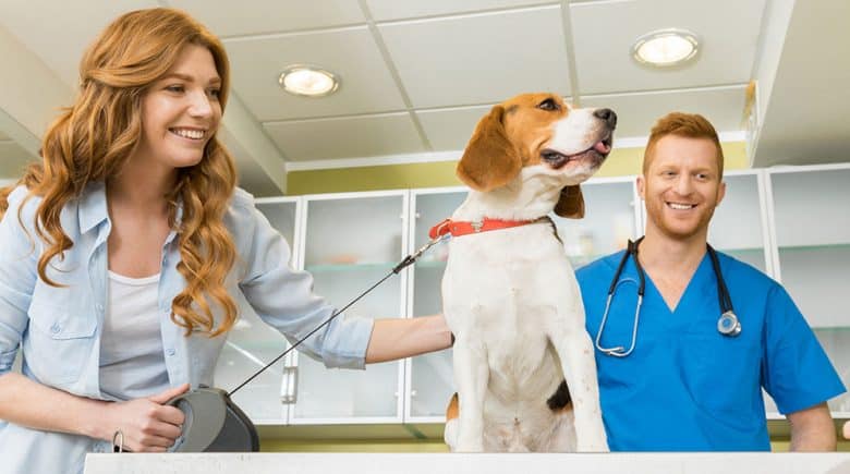 Woman with her dog at veterinary clinic