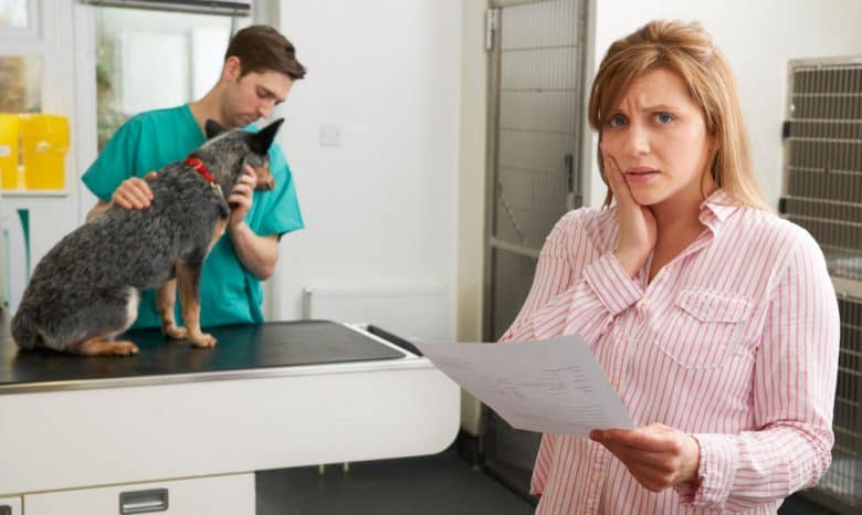 Worried woman looking at bill in veterinary clinic