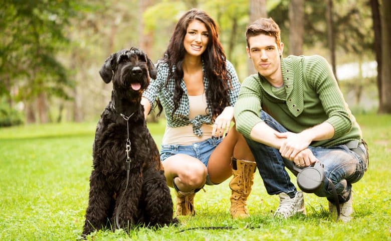 Young couple with Giant Schnauzer dog