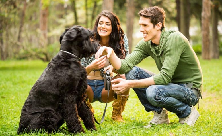 Young couple with the Giant Schnauzer dog