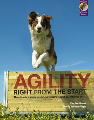 Agility Right From The Start