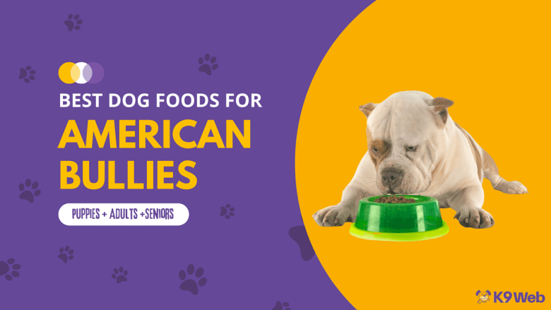 Best Dog Food for American Bully Review