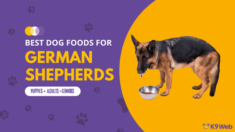 Best Dog Food for German Shepherd Review