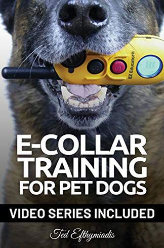 E-Collar Training for Pet Dogs