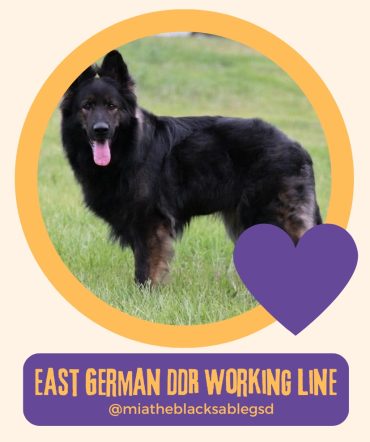 East German DDR Working Line GSD