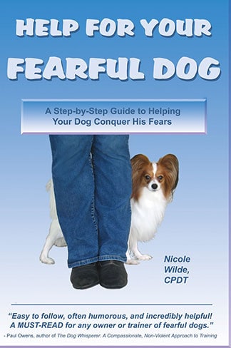 Guide to Helping Your Dog Conquer His Fears