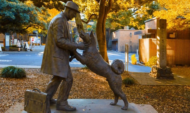 The Hachiko with Dr. Hidesaburo Uenu statue