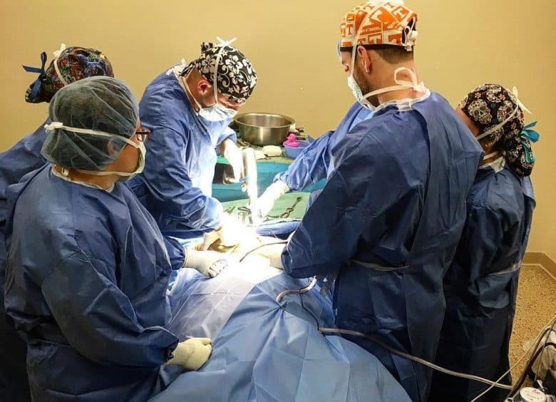 Five veterinarians doing a hip replacement to a dog with hip dysplasia