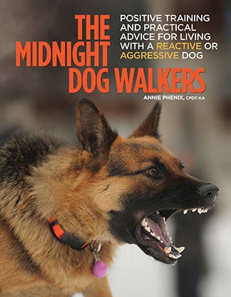 Training and Practical Advice for Living with Reactive and Aggressive Dogs