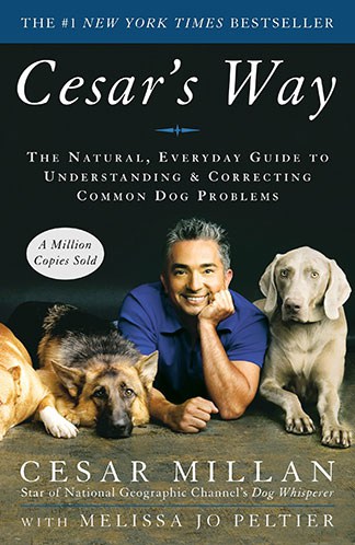 Cesar's Way: Understanding & Correcting Common Dog Problems
