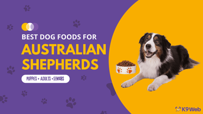 Best Dog Food for Australian Shepherd Review