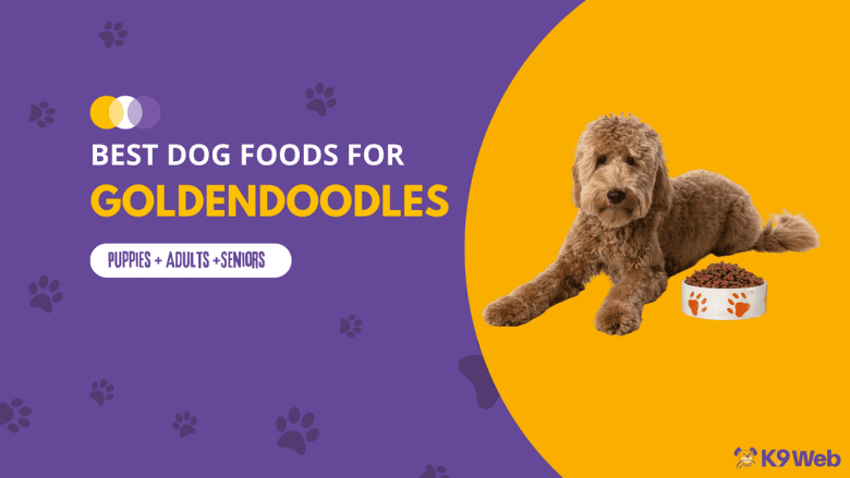 Best Dog Food for Goldendoodle Review