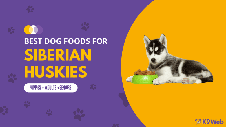 Best Dog Food for Siberian Husky Review