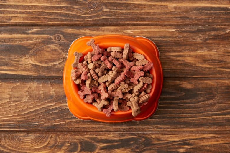 an orange dog bowl with dog food with wooden background
