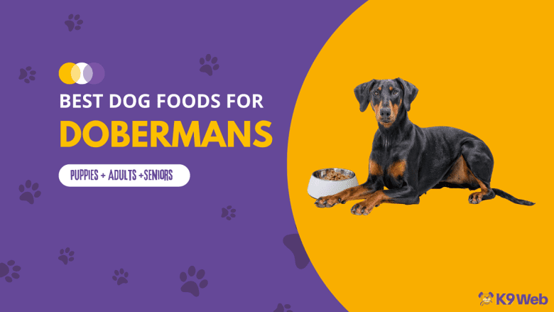 Best Dog Food for Doberman Review