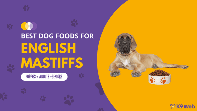 13 Best Dog Foods for English Mastiffs 2023 (Premium & Budget) - K9 Web