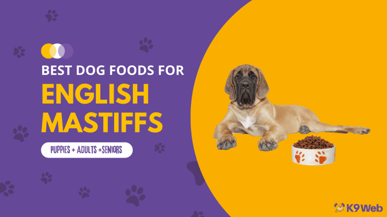 Best Dog Food for English Mastiff Review