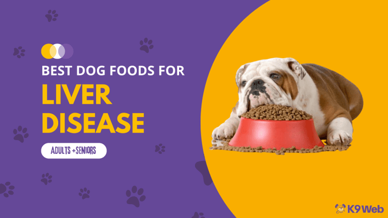 Best Dog Food for Liver Disease Review