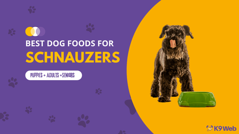 Best Dog Food for Schnauzer Review