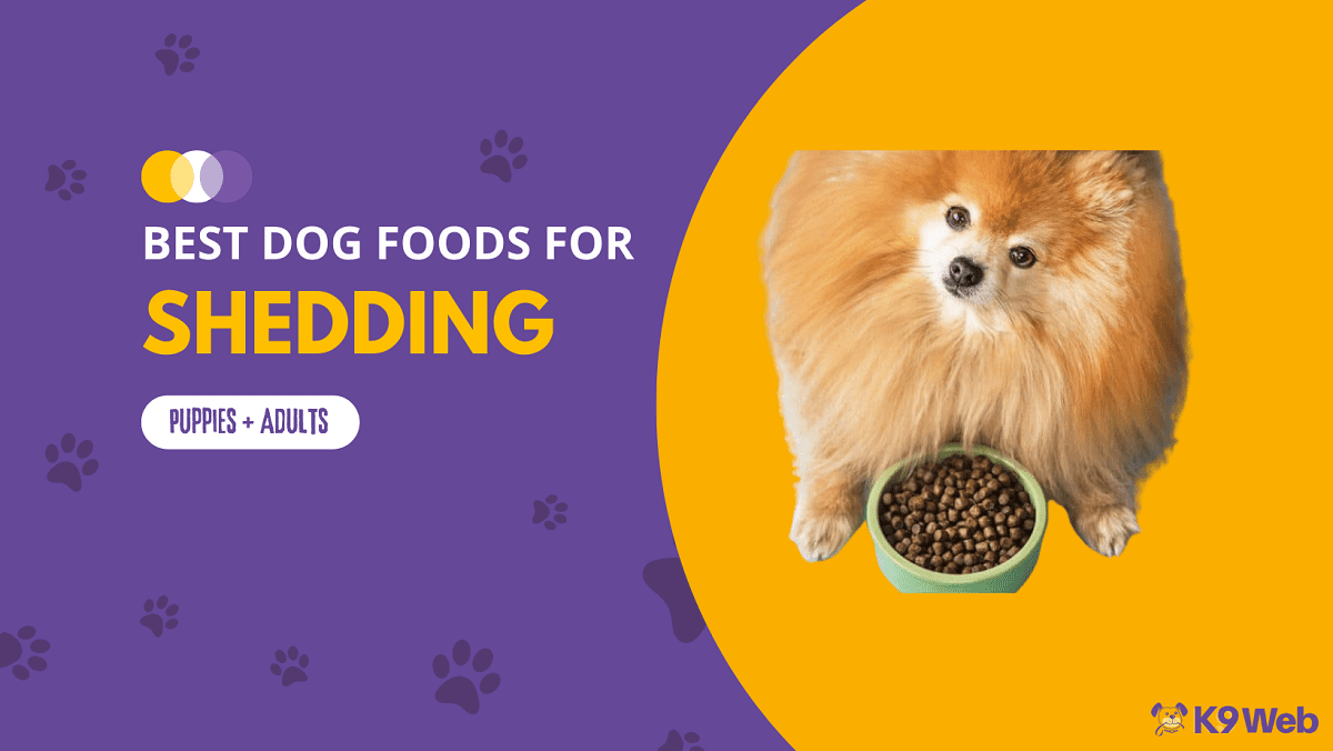 Best Dog Food for Shedding Review