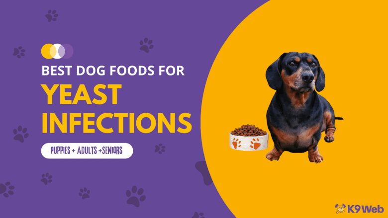 Best Dog Food for Yeast Infections Review