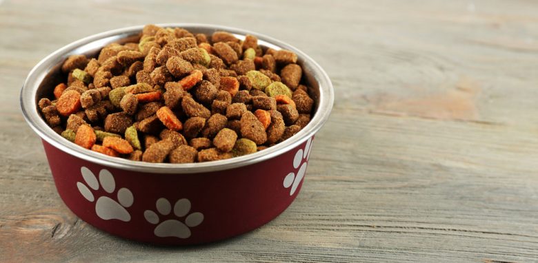 Bowl full of dog food in a wooden table
