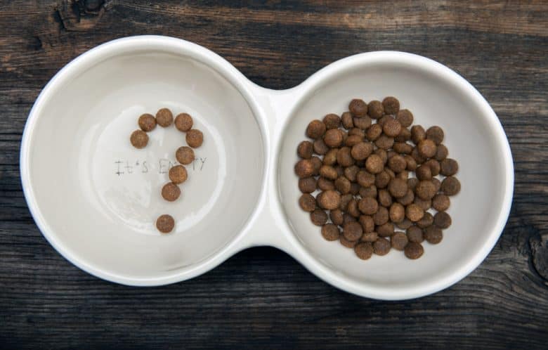 a dog bowl one with dog food and one with a question mark