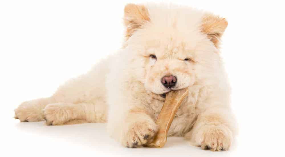 11 Best Dog Food for Shedding 2023 (Premium & Budget) K9 